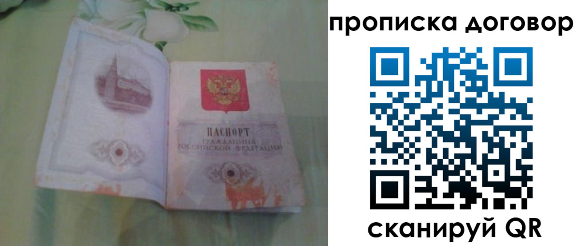 временная регистрация гарантия в Шатуре